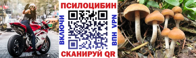 Галлюциногенные грибы Psilocybine cubensis  hydra рабочий сайт  Анжеро-Судженск 